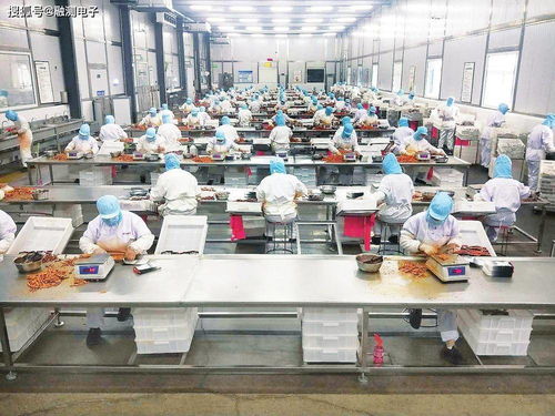 温度传感器 食品加工行业提质增效的关键推手